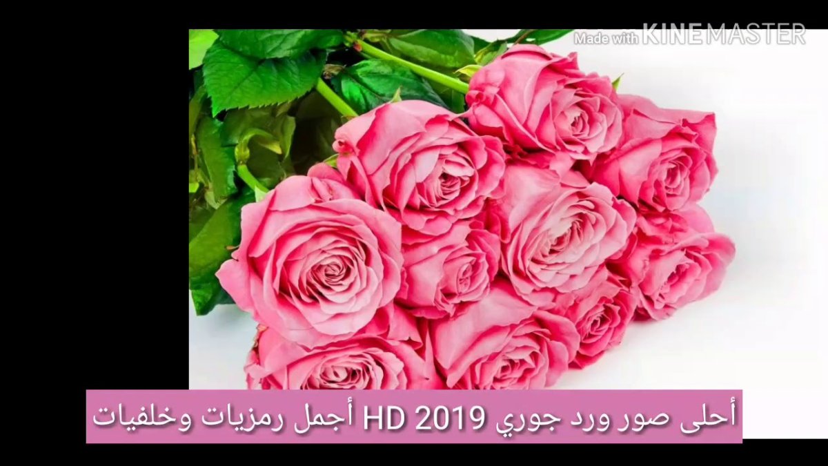 Красотка открытка