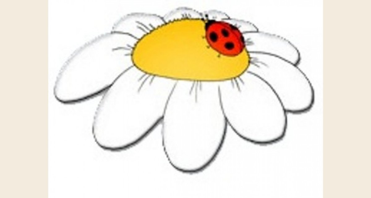 Стикер Ромашка