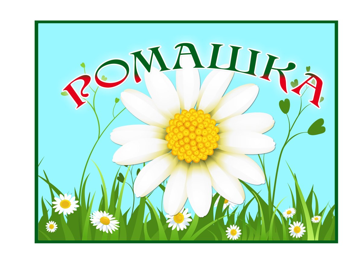 Группа Ромашка
