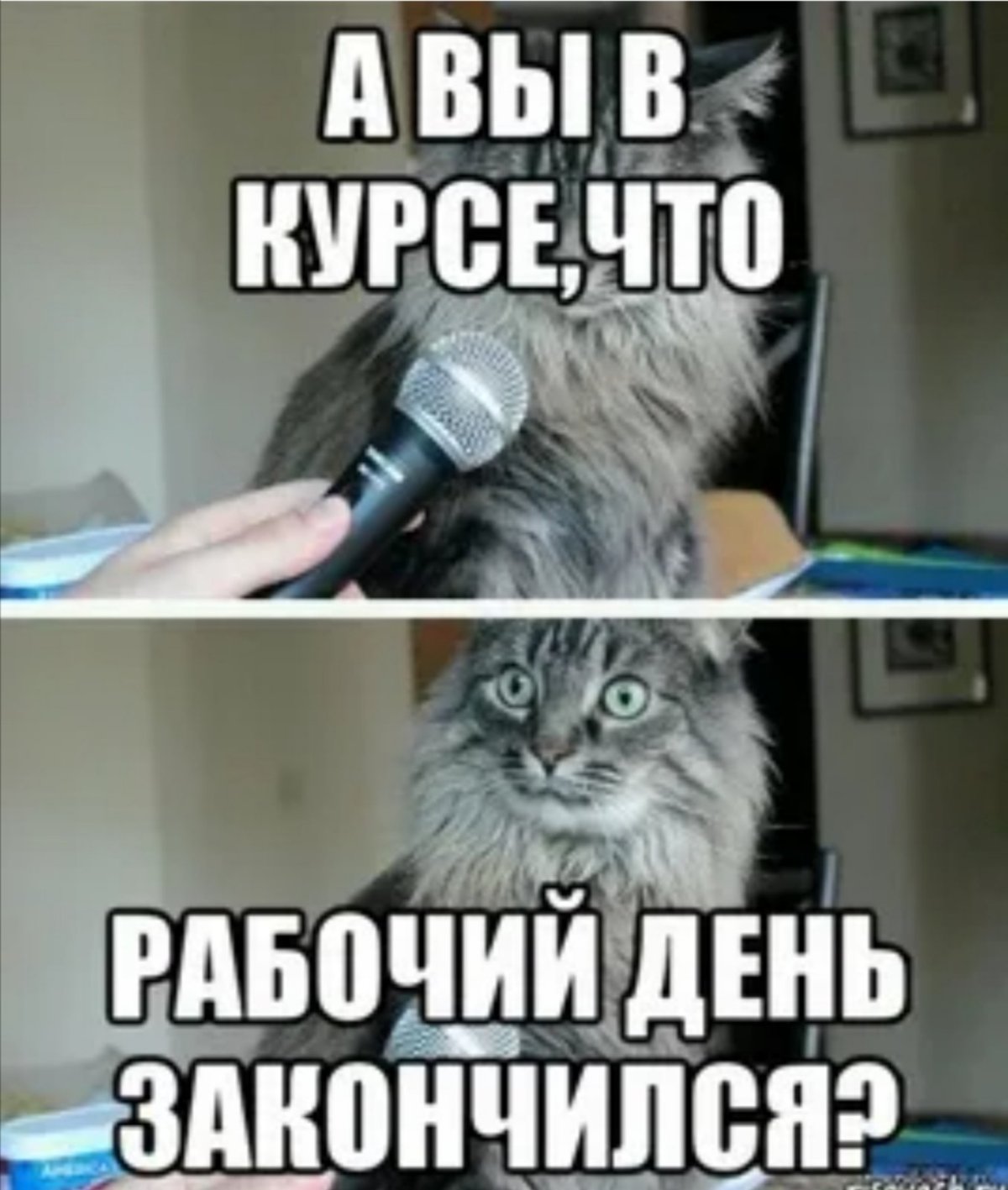 Пожелания удачи и успеха