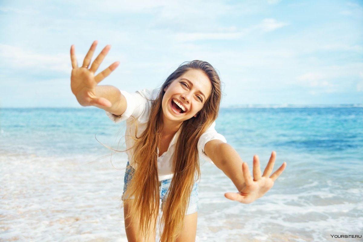 Кошки и собаки