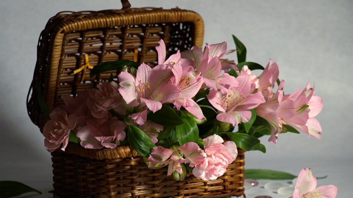 С̠ д̠н̠е̠м̠ р̠о̠ж̠д̠е̠н̠ь̠я̠ Лариса