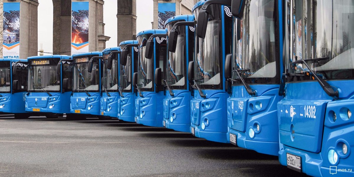 Московские трансы