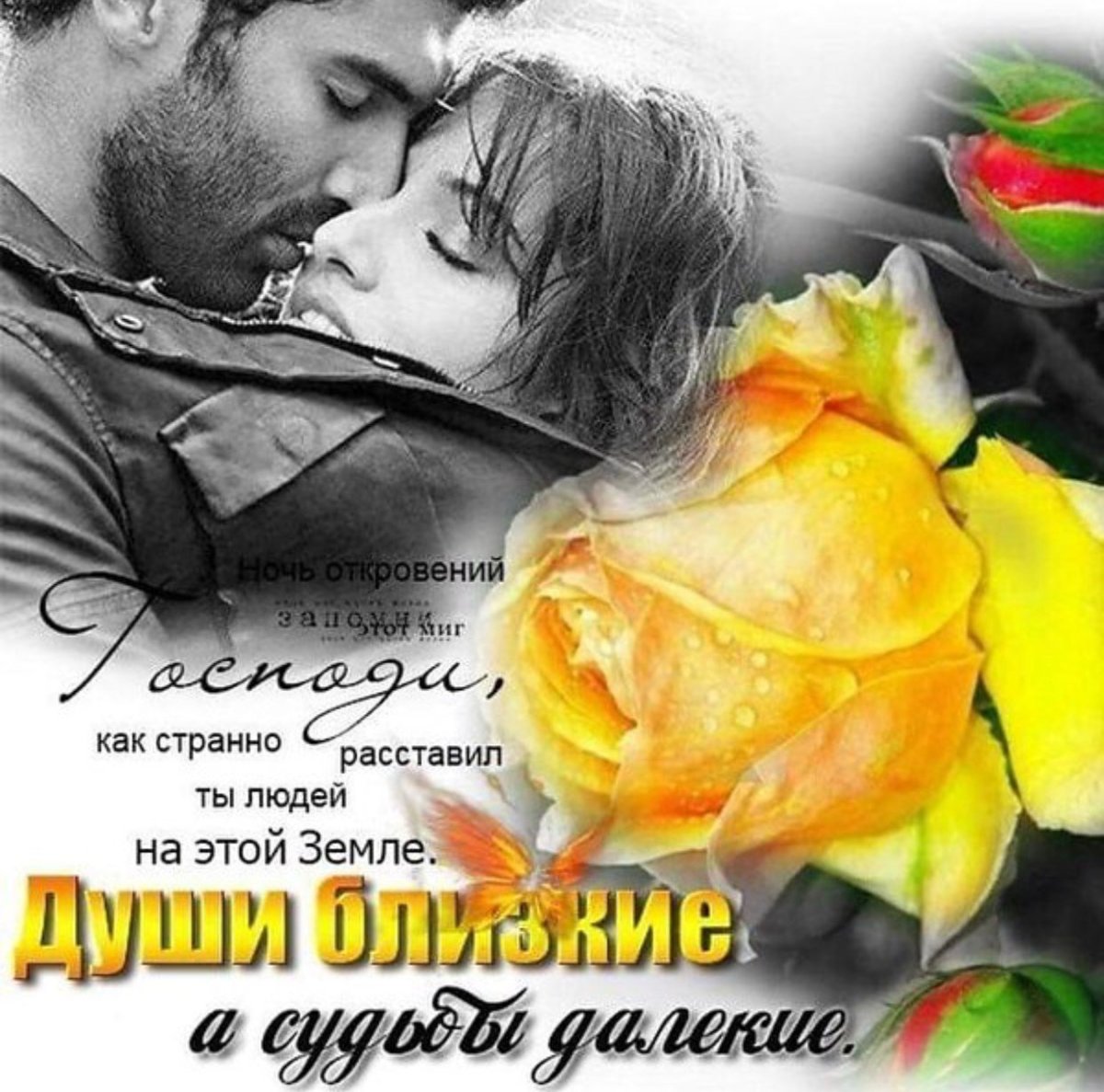 Дорогому и любимому человеку