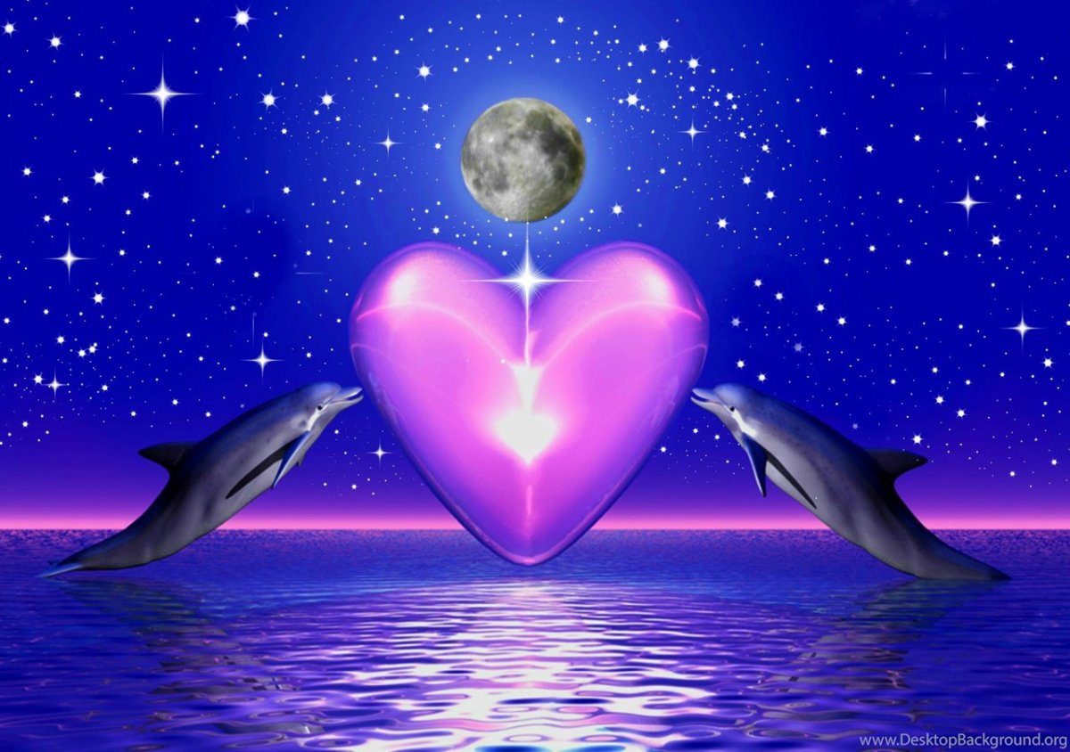 Дельфины сердце
