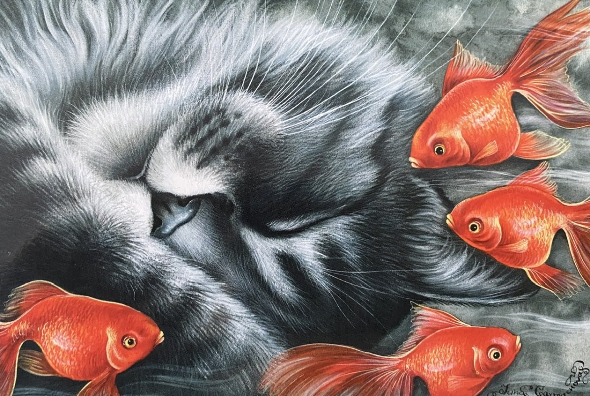 Спокойной ночи рыбка