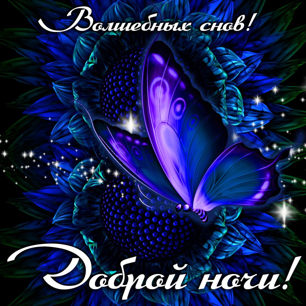 Спокойной ночи любимая