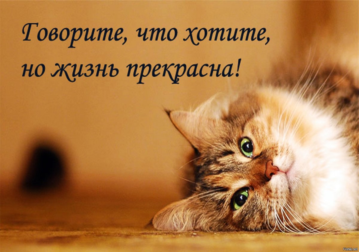 Жизнь прекрасна картинки