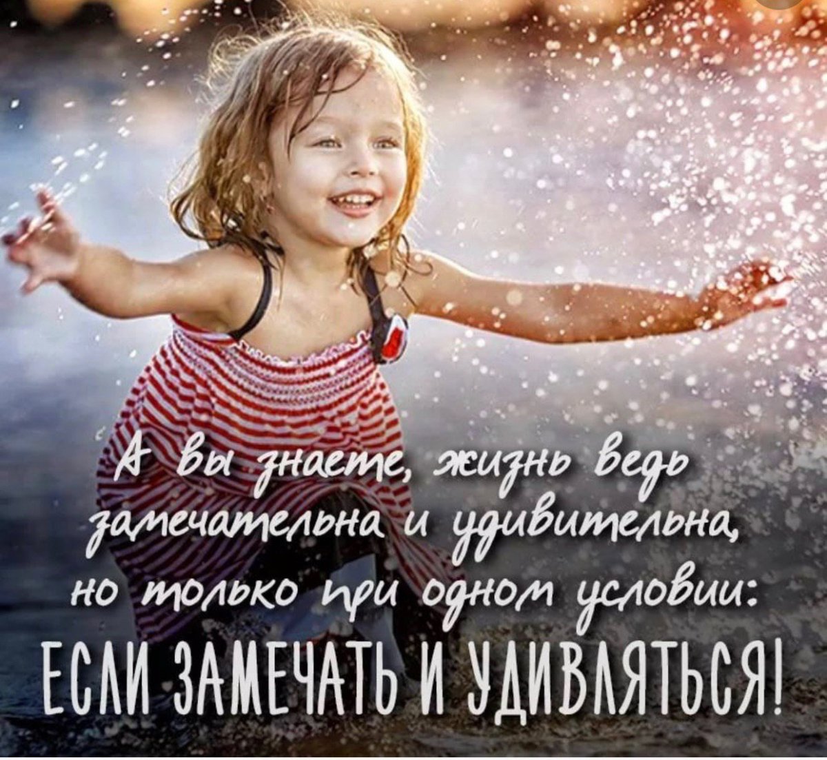 Жизнь прекрасна и удивительна цитаты