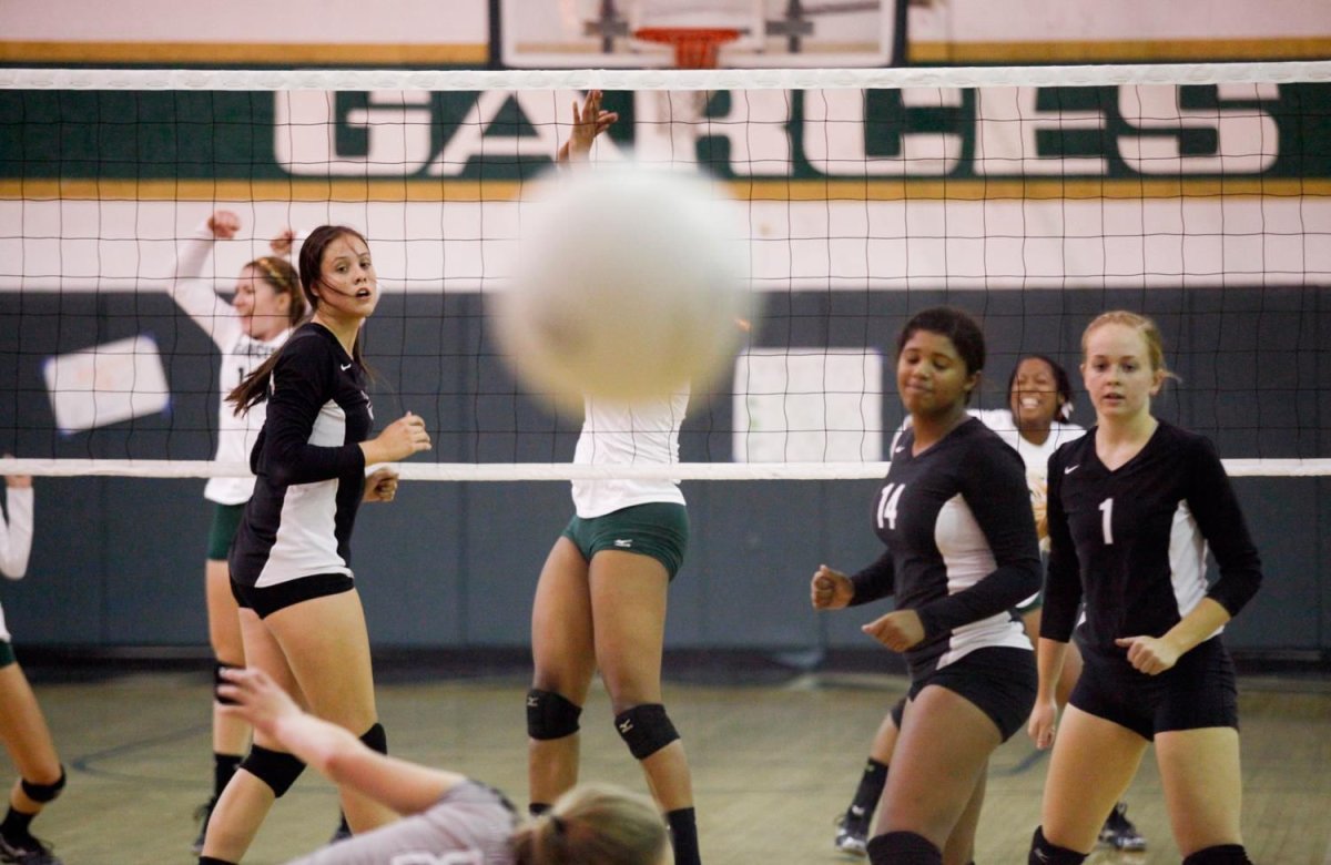 Спортивный волейбол приколы