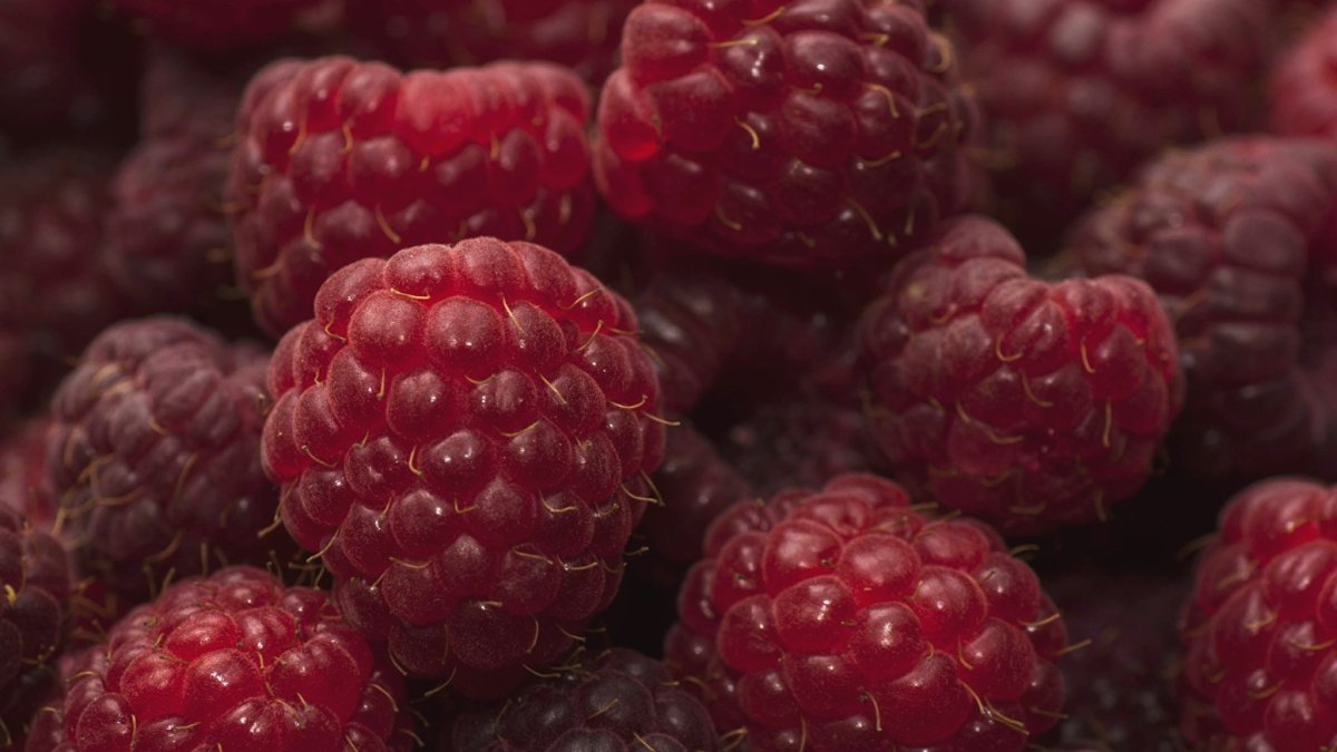 Розовая малина