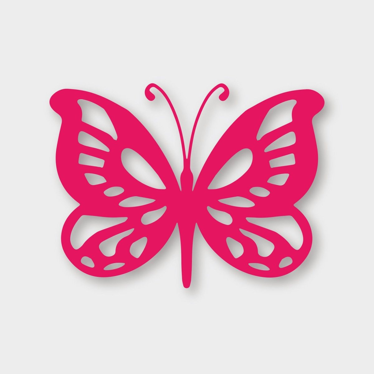 Раскраска "бабочки"