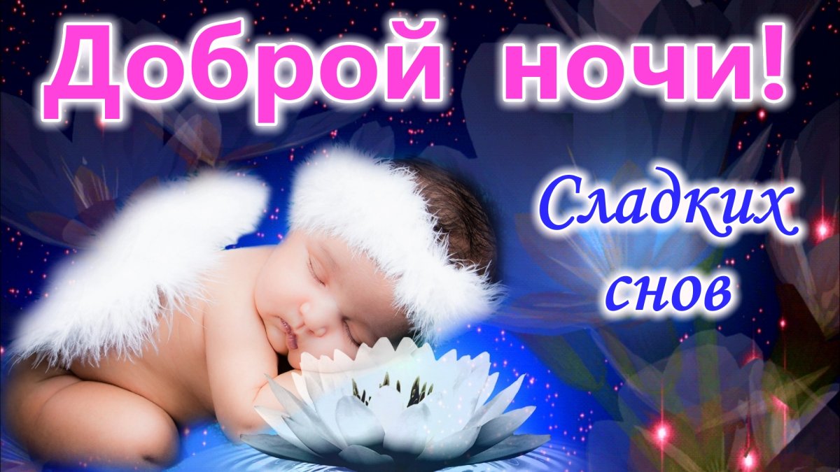 Сладких зимних снов