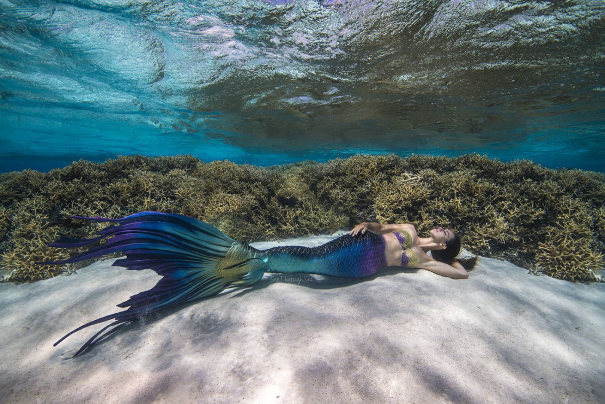 Настоящие русалки в море