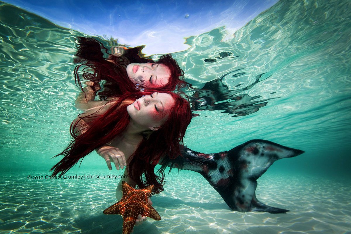 Амфитрита богиня моря