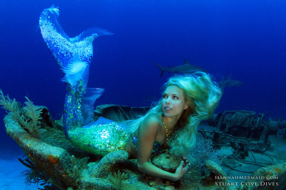 Русалки в реальной жизни красивые