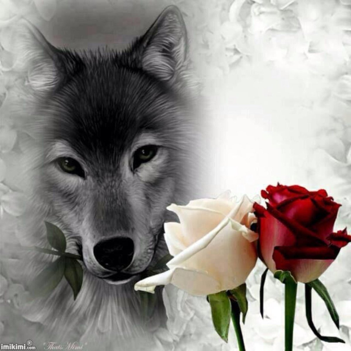 Волк с розой во рту