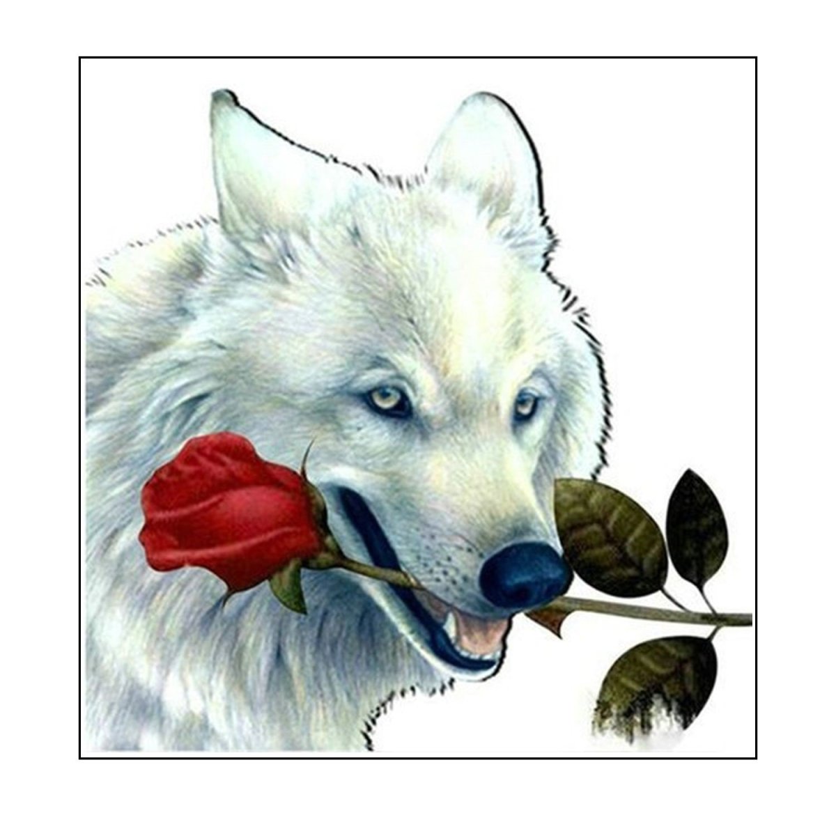 Волк с розой в зубах
