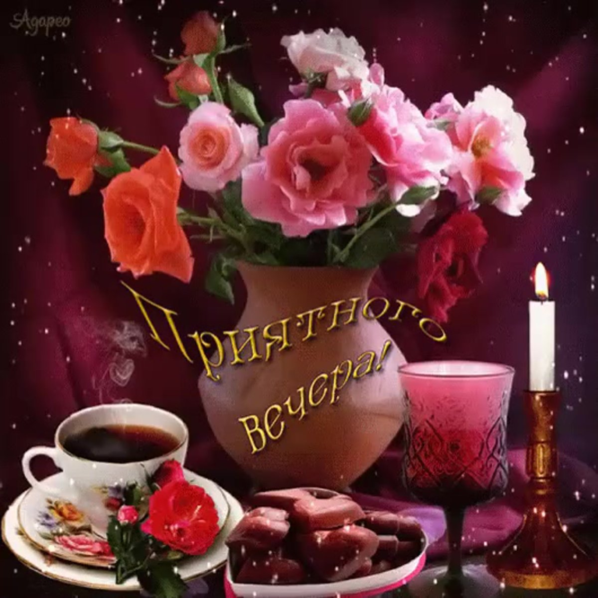 Приятный вечер в приятной компании