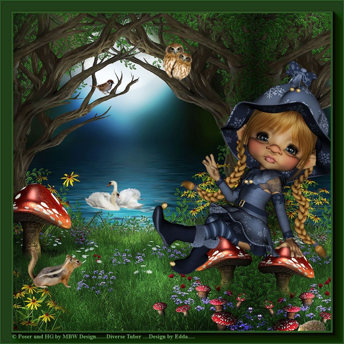 Гномы и феи