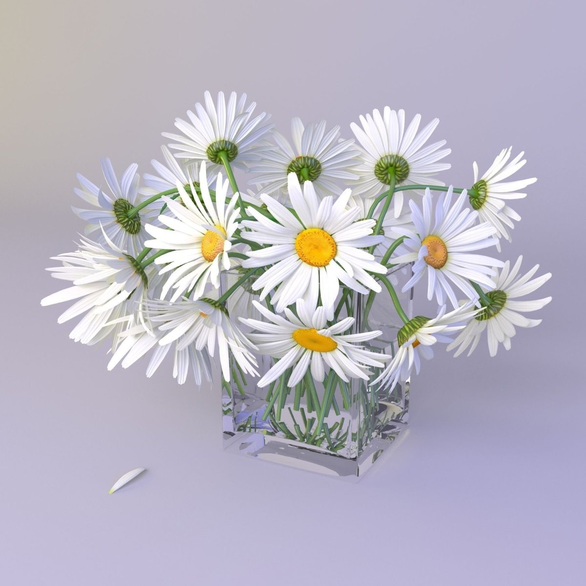 Букет из трех ромашек