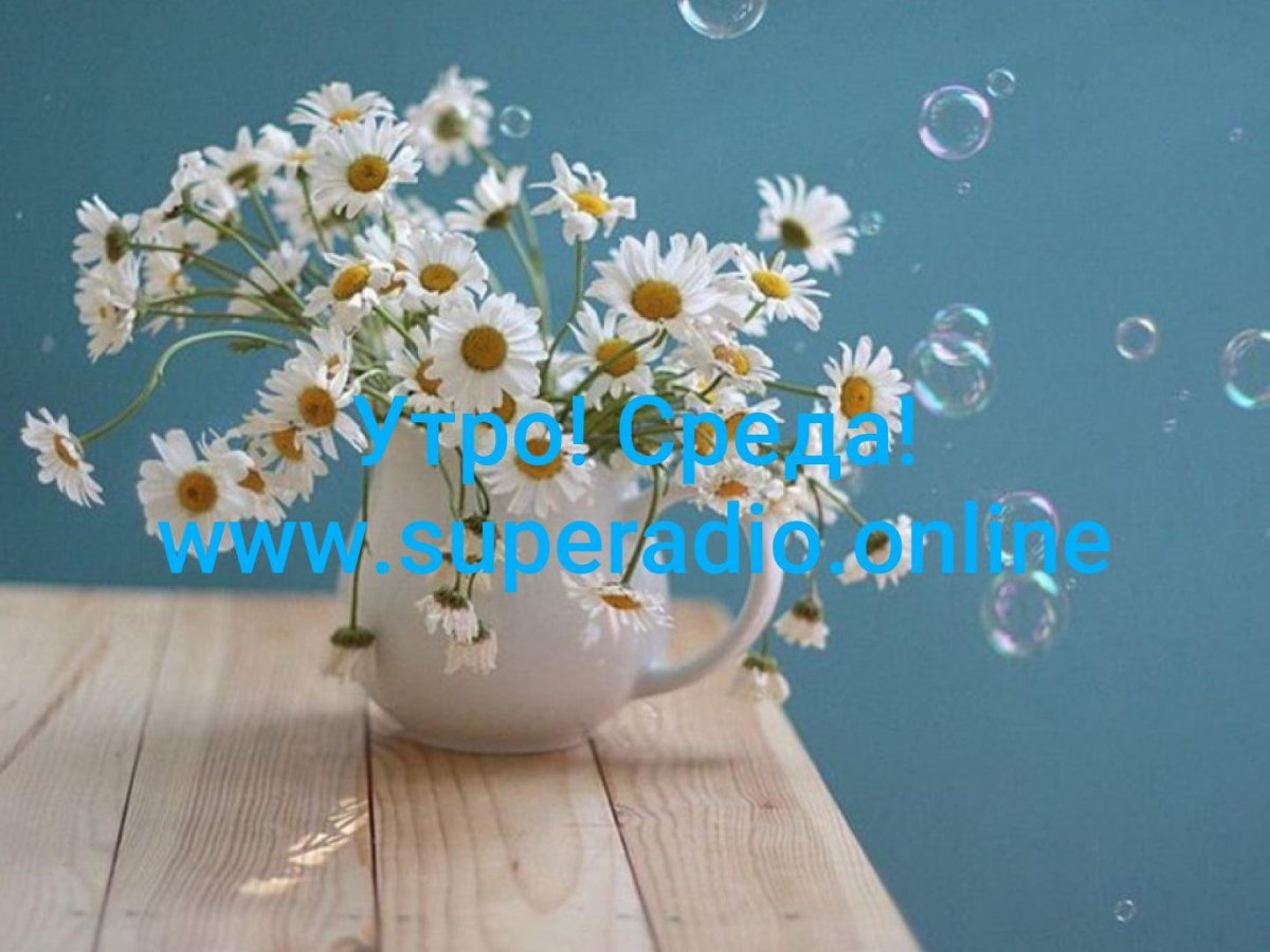 Ромашки Вдохновение