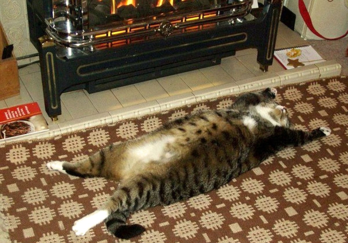 С пятницей прикольные