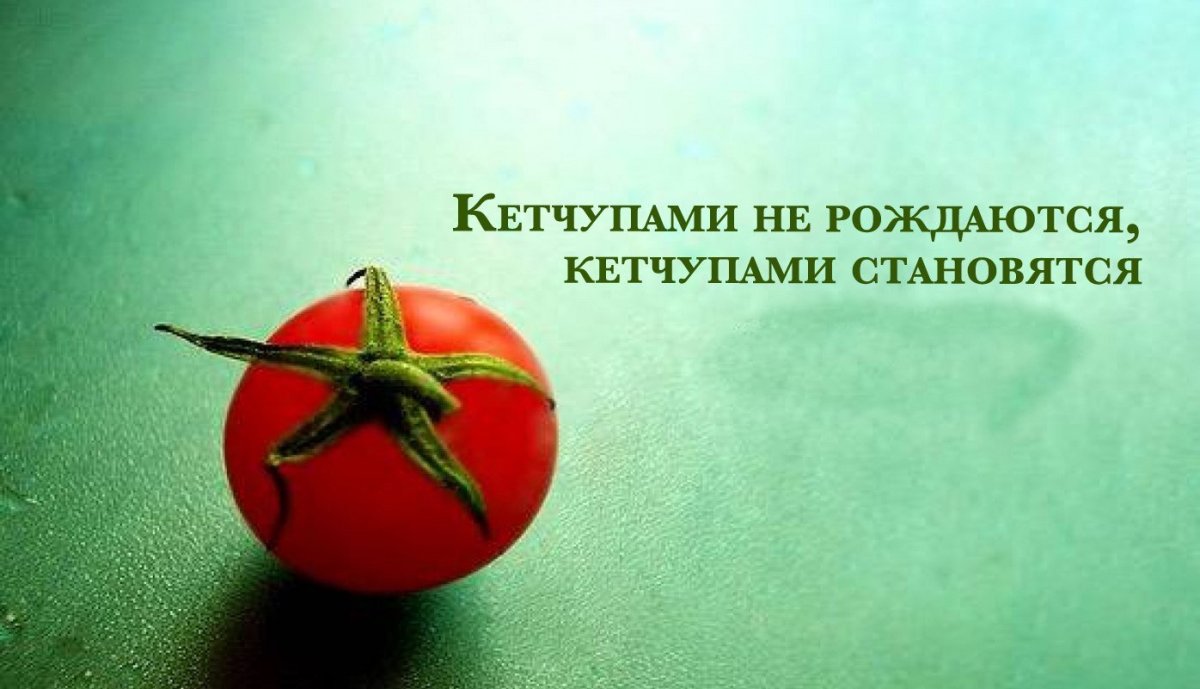 Кетчупом не рождаются кетчупом становятся