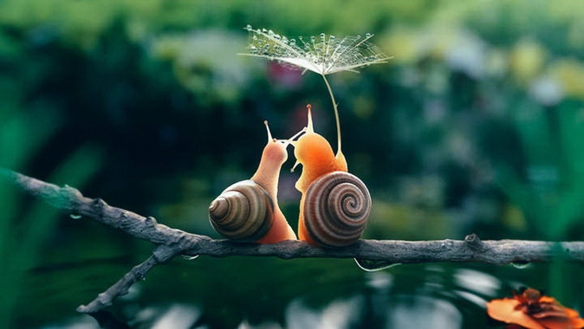 Мудрые мысли