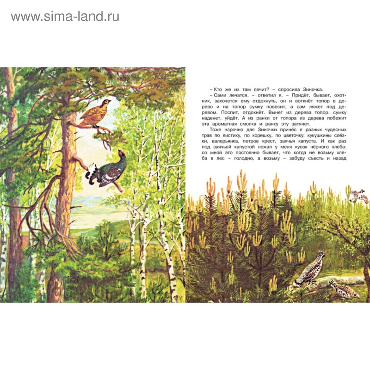 Пришвин первая охота