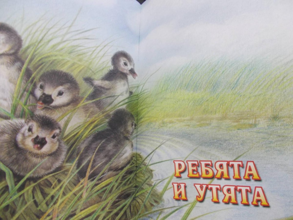 Пришвин книга золотой Рог