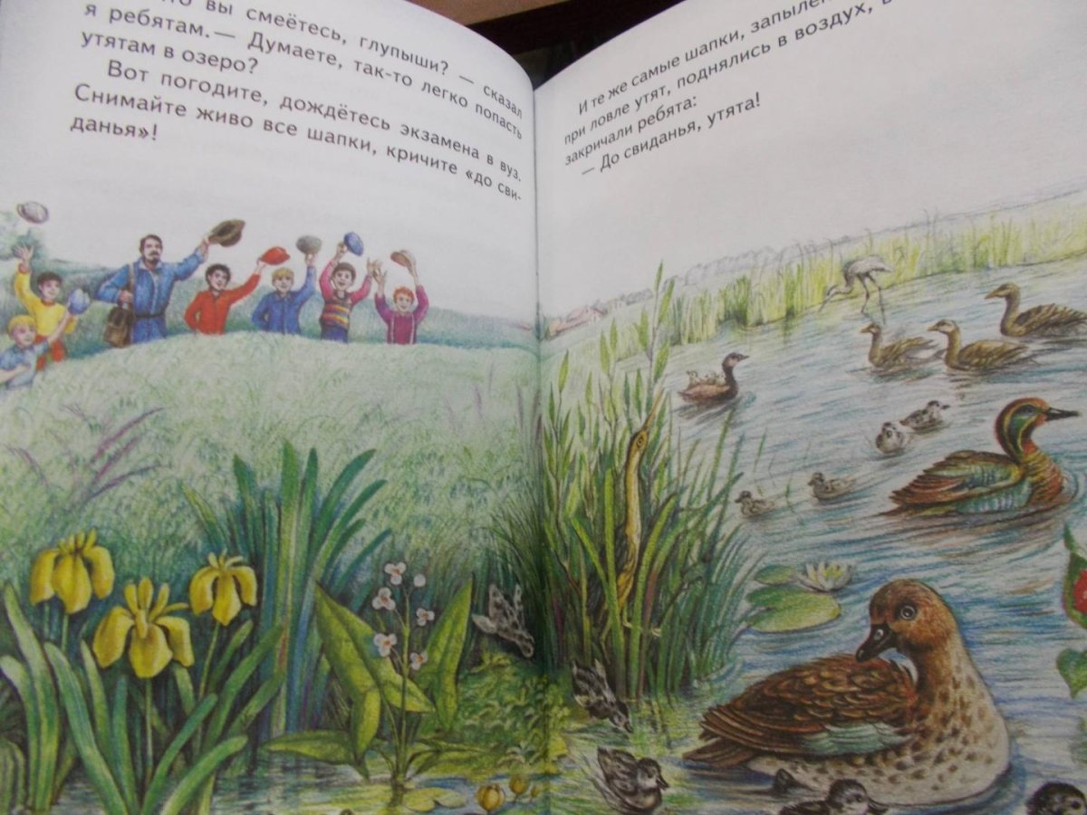 Кладовая солнца Рачев пришвин