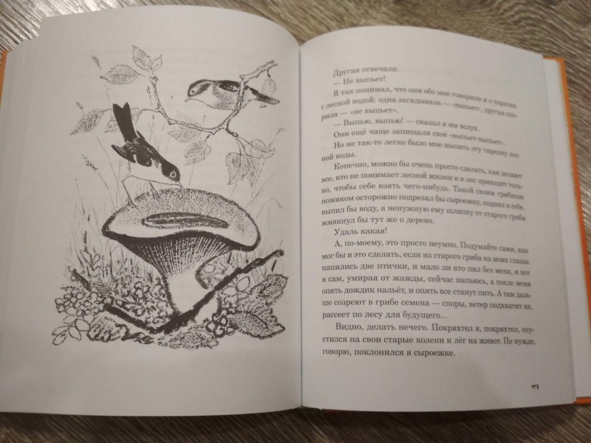 М М пришвин Стрекоза