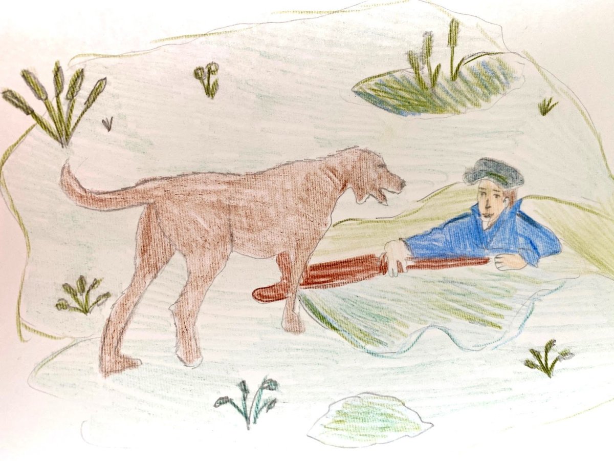 М М пришвин выскочка