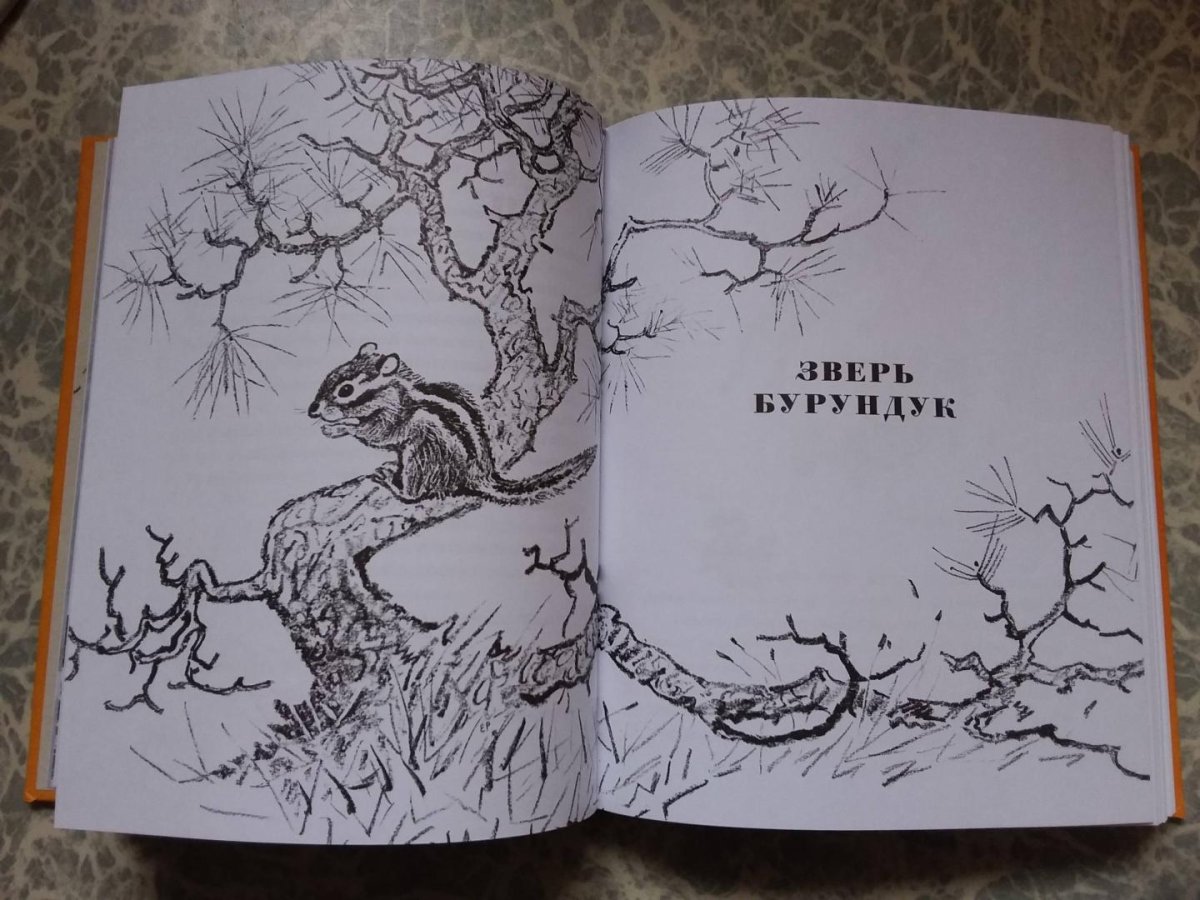 Рассказ Бианки про собаку