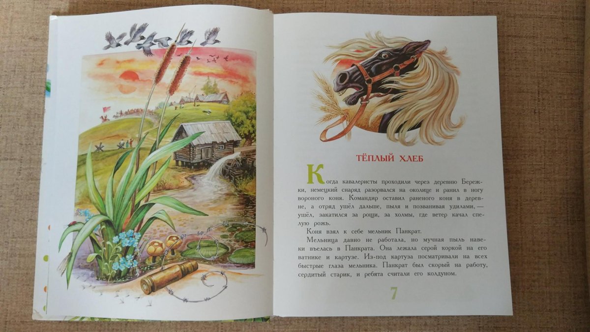 Михаил пришвин книги коллаж