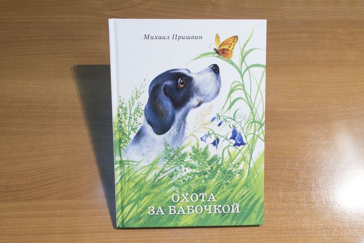 Иллюстрация к сказке-были кладовая солнца м.м Пришвина