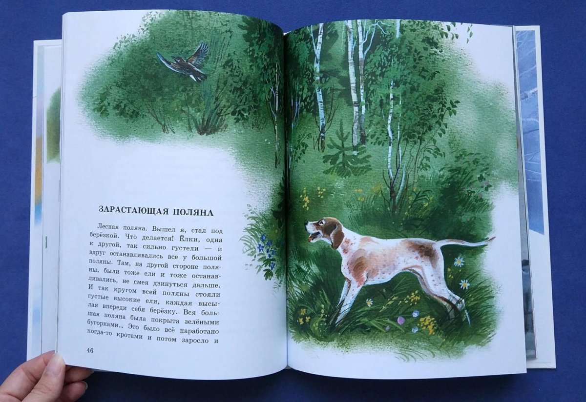 Михаил пришвин журка