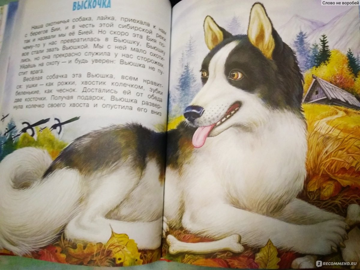 Кладовая солнца Настя