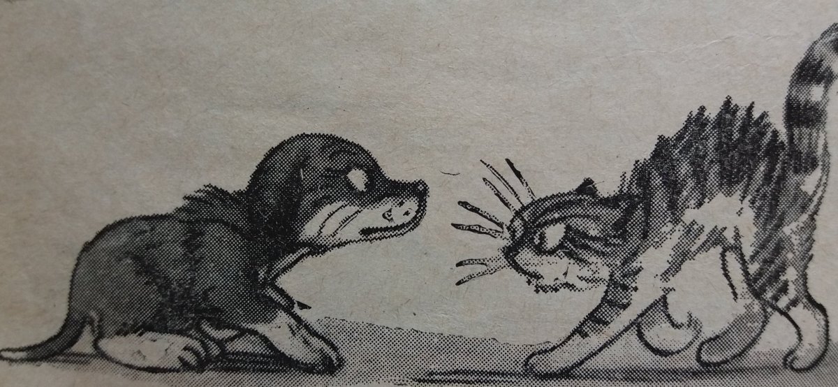 Пришвин ужасная встреча