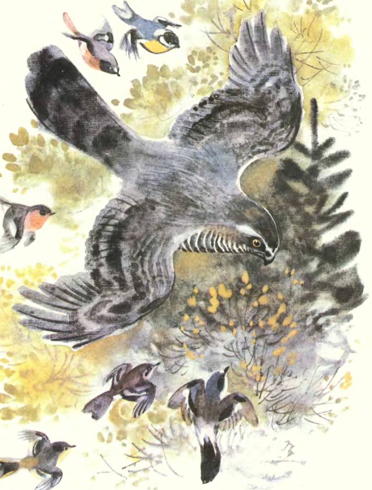 Снегирев про птиц