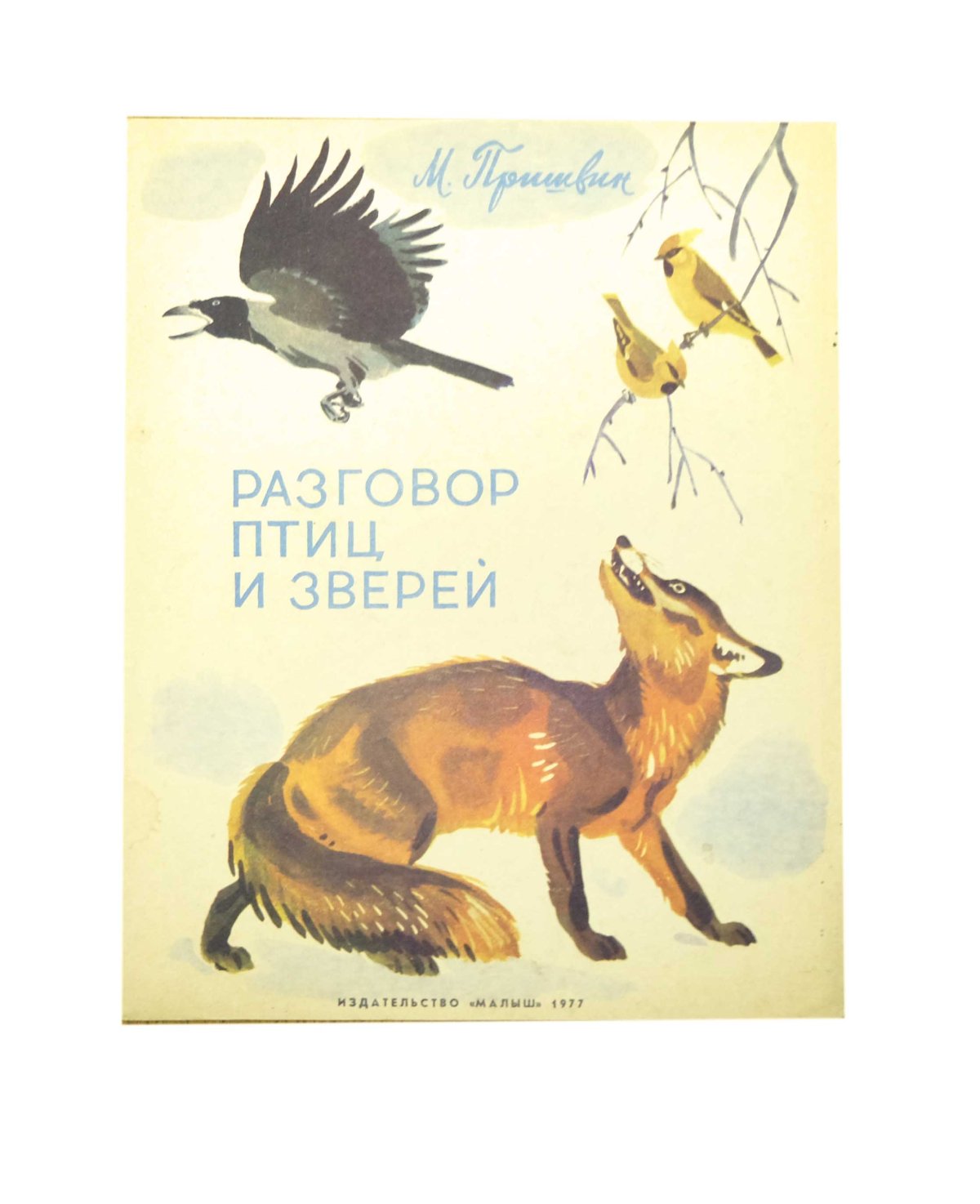 Зефирантес мощный