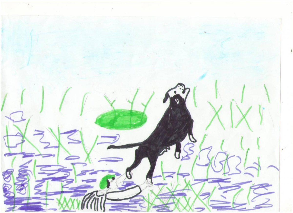 Иллюстрация к сказке-были кладовая солнца м.м Пришвина