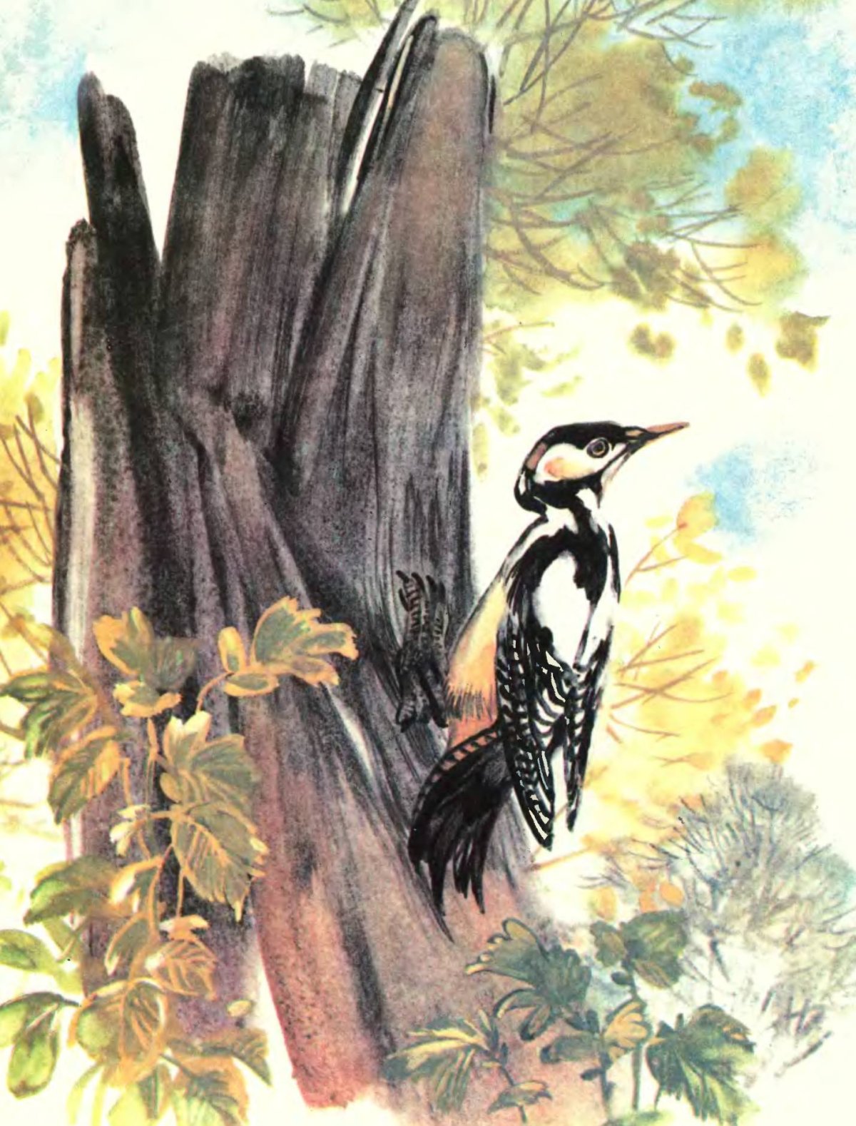 Снегирев Геннадий скворец