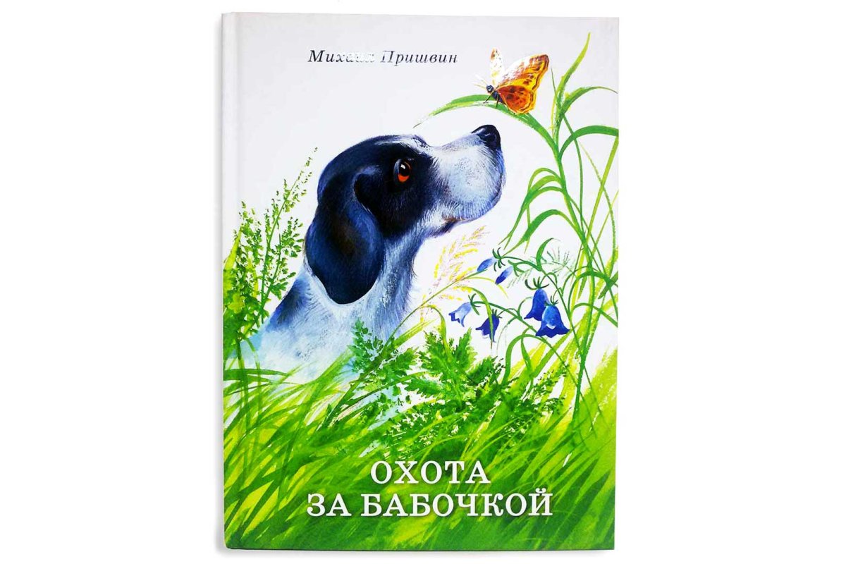 Михаил пришвин охота за бабочкой