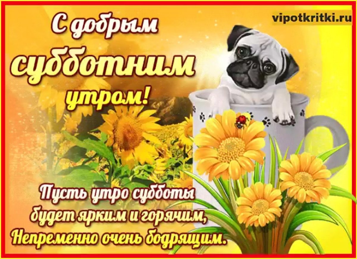 Креативный цветы утро