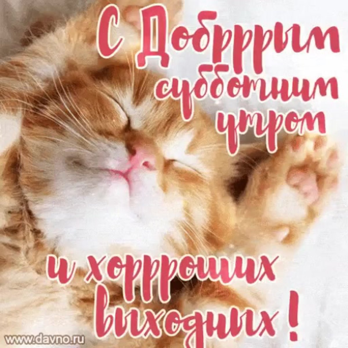 Шутки про субботу