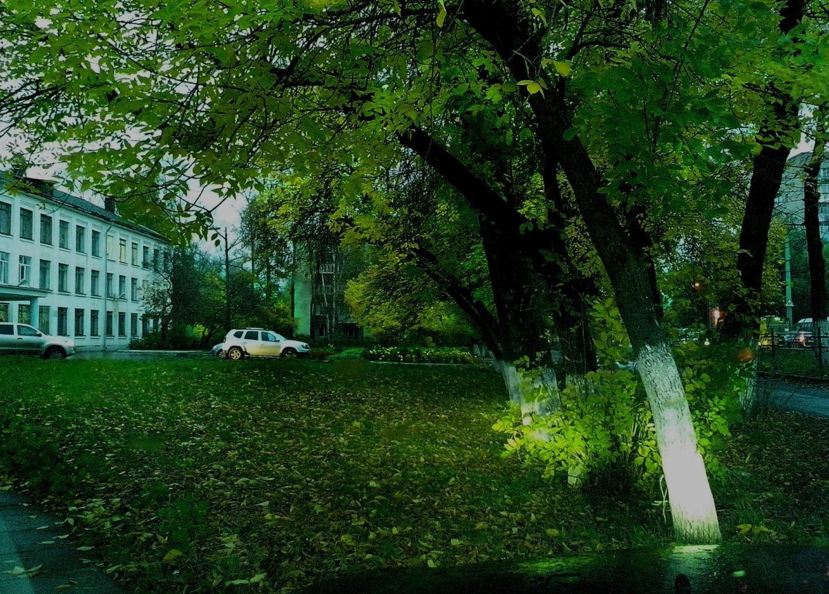 Ландшафтный дизайн