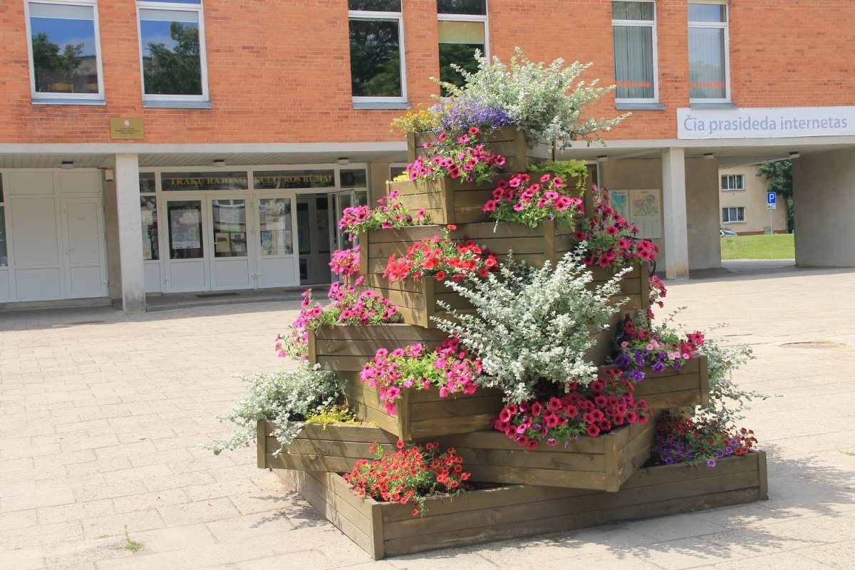 Фон возле школы