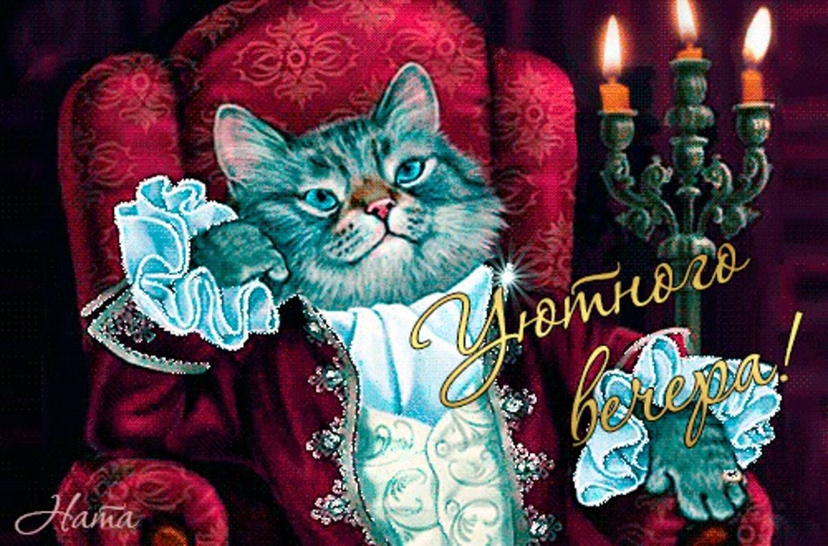 Доброй ночи с котятами